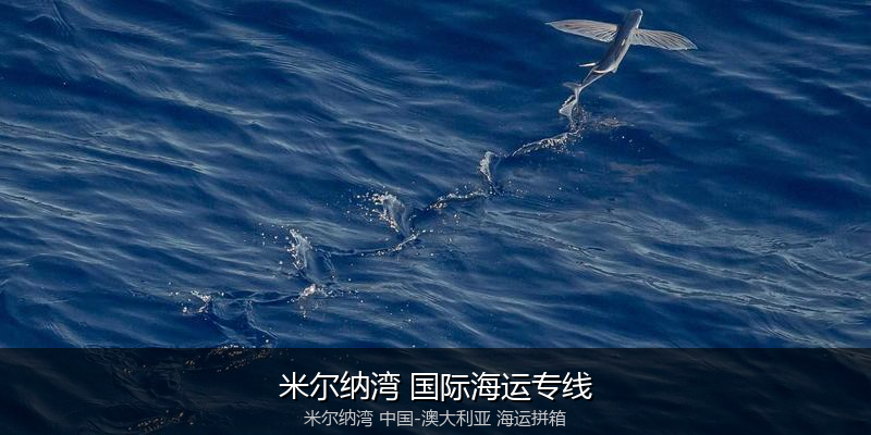 中澳海运跨境电商物流解决方案